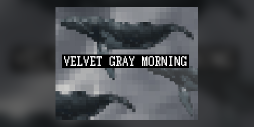 Cover image for velvet gray morning
