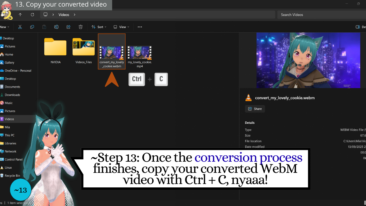 13 - Ren'Py Video Tutorial - Copy your converted video - Discover with Mia
