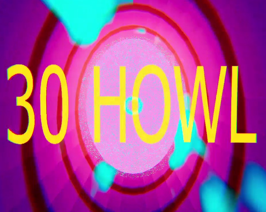 Cover image for 30 HOWL