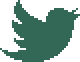 Twitter icon