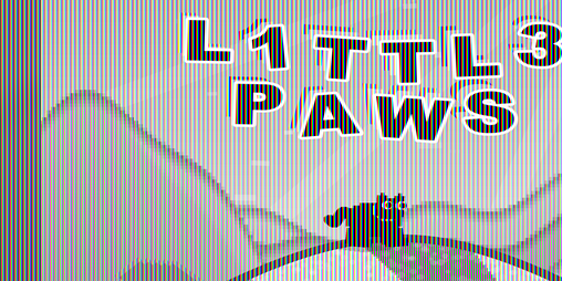 Cover image for L1ttl3 Paws