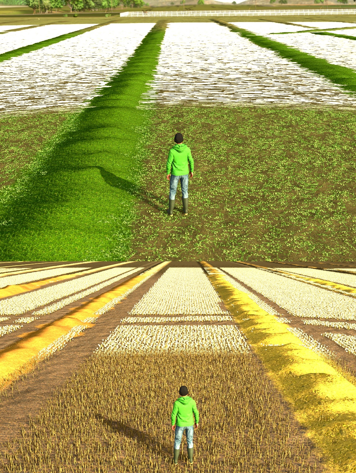 FS25 Judith Plains Multifruit Edit by Jinkou89