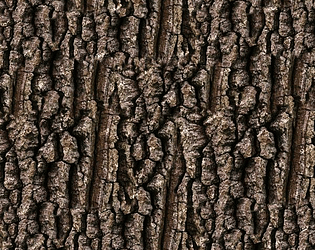 animallex
