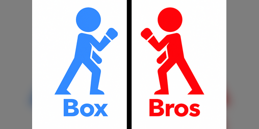 Cover image for Box Bros (BETA)