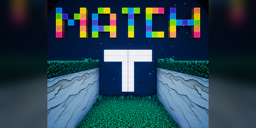 Cover image for Match T
