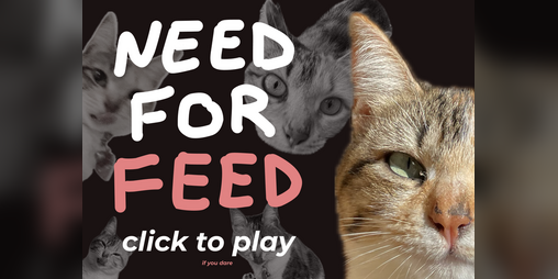 Cover image for Need for Feed
