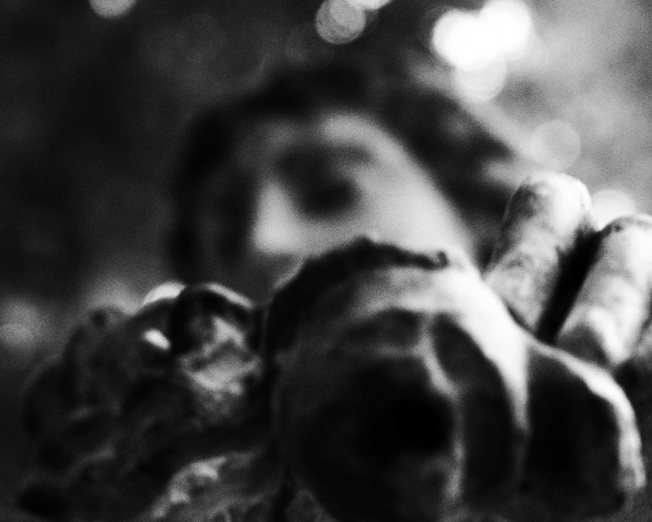 Cover image for West-Hill Graveyard