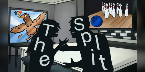 Cover image for The Split