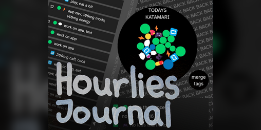 Cover image for Hourlies Journal