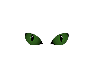 GATO ENCERRADO