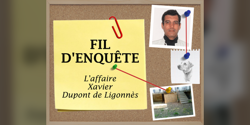 Cover image for Fil d'enquête : l'affaire Xavier Dupont de Ligonnès