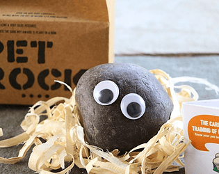 Pet Rock