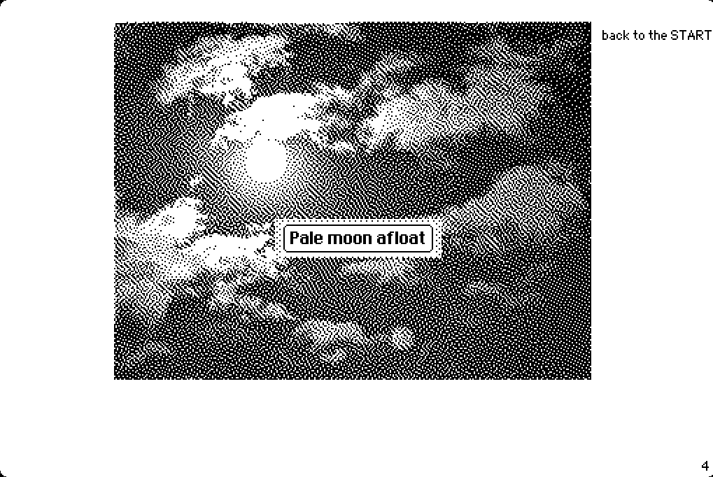 Cover image for Pale moon afloat