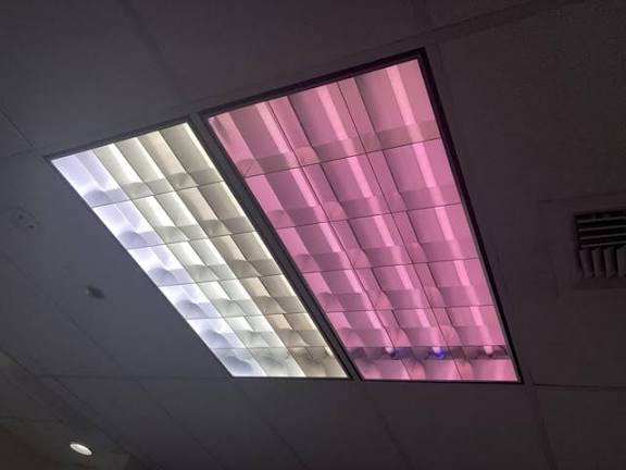 Pink Neon IRL