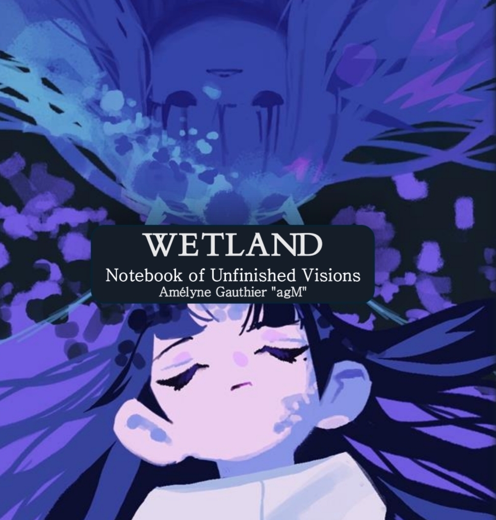 Cover image for Wetland game - Unfinished ideas