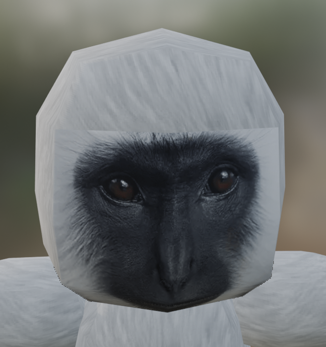 Humaun langurs