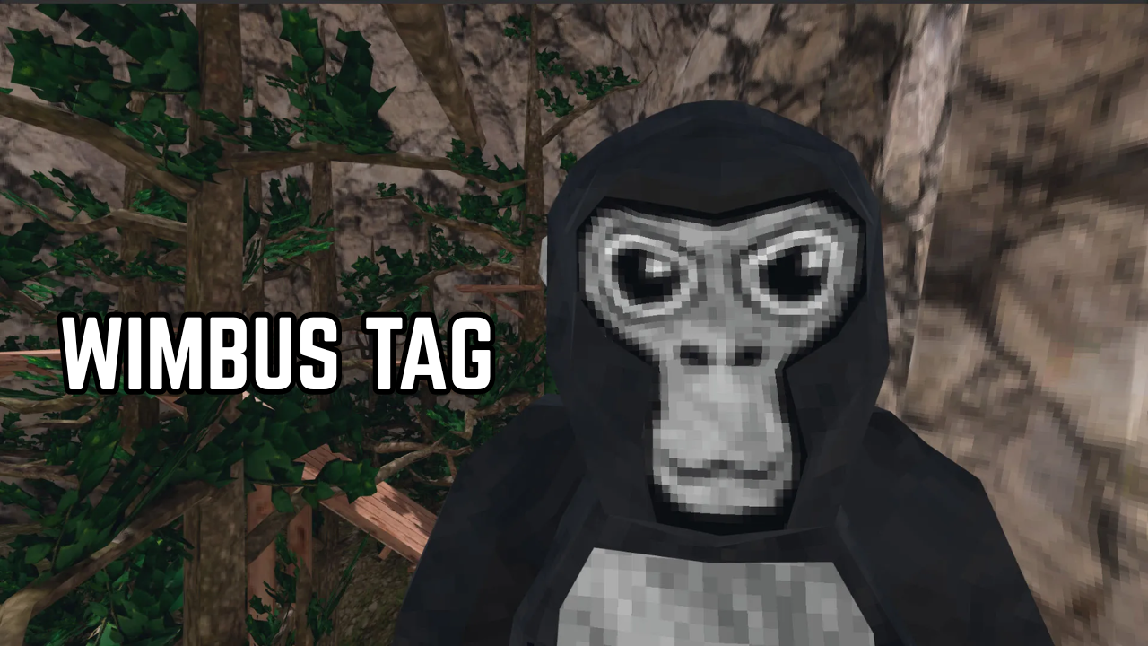 𝐖𝐈𝐌𝐁𝐔𝐒 𝐓𝐀𝐆