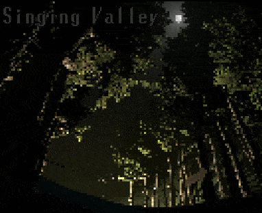 Cover image for Singing Valley