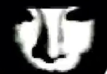 Cover image for Sprunki 1996 Re-Watered Grave