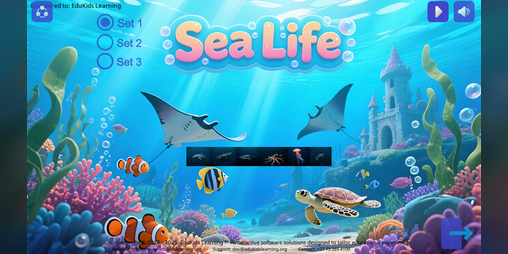 Cover image for Sea Life Animals