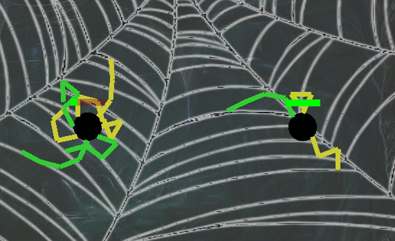 Cover image for Spider Fight Club