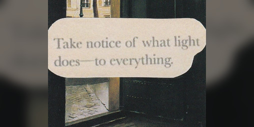 Cover image for Take notice of what light does—to everything