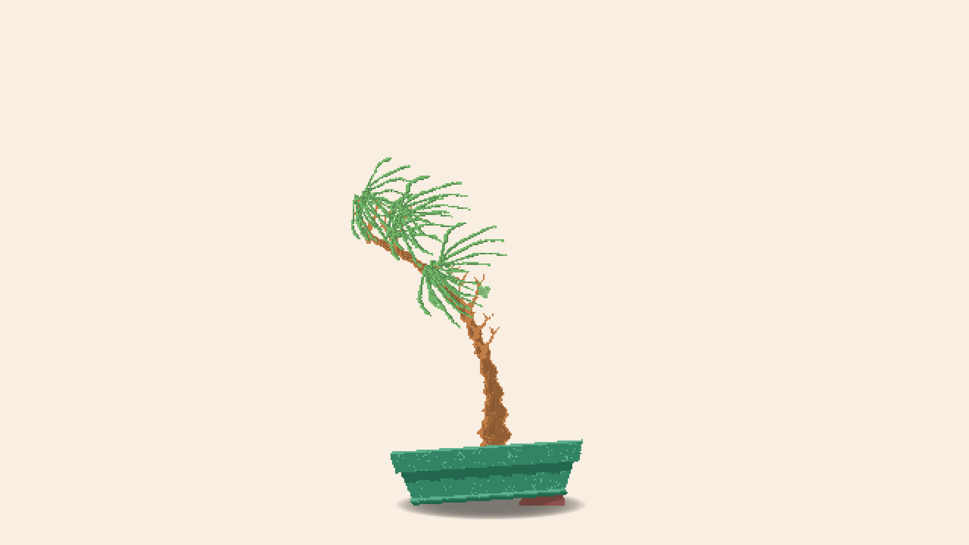 Leaning Palm