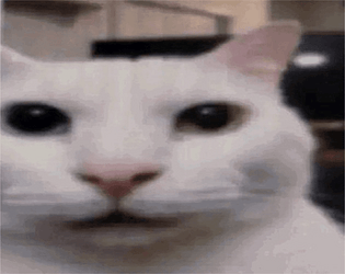 Save the Uncanny Cats!