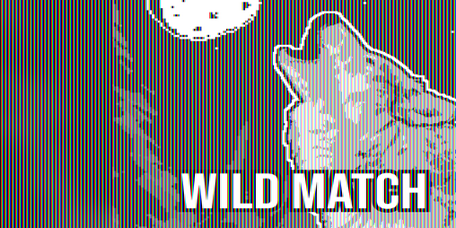 Cover image for WILD MATCH