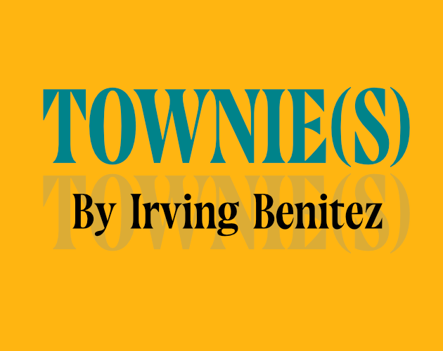 Cover image for TOWNIE(S)