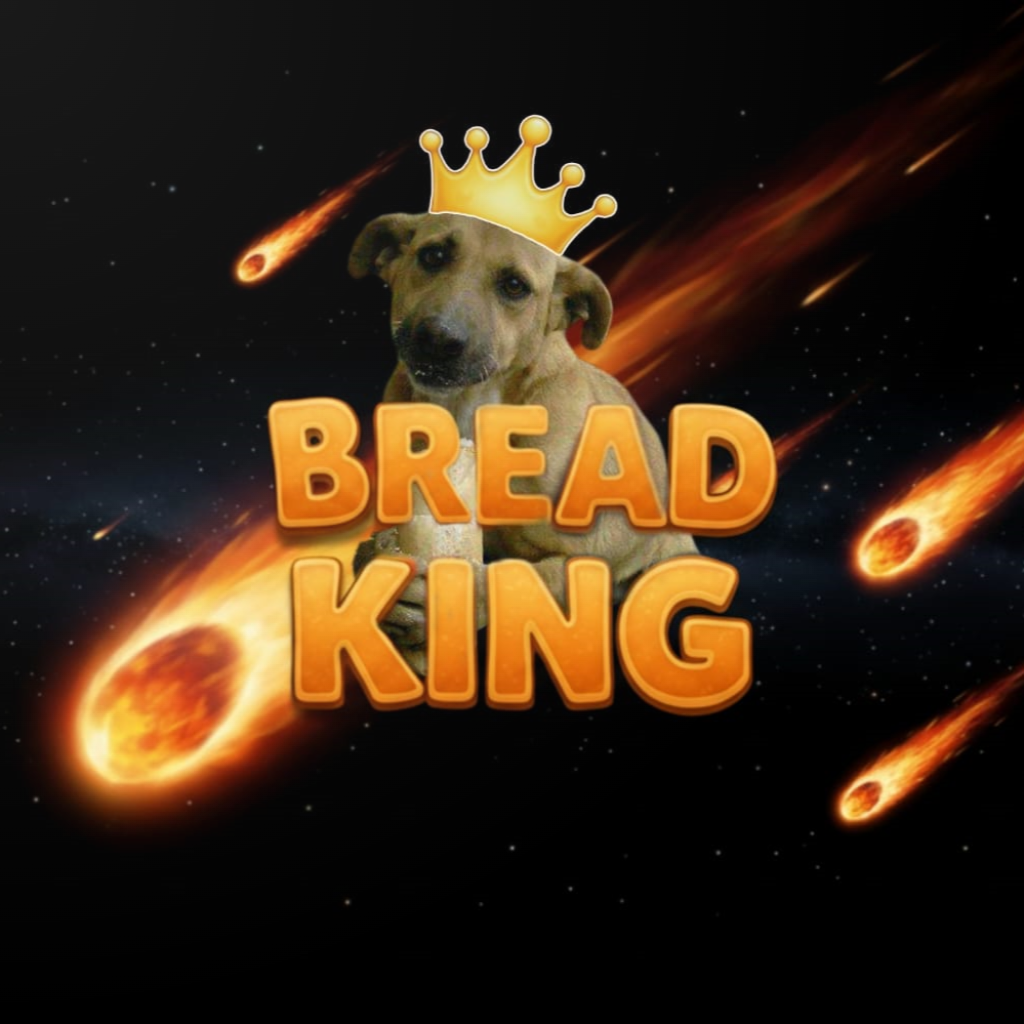 Cover image for Bread King