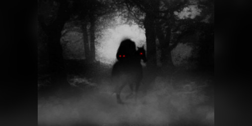 Cover image for Sleepy Hollow