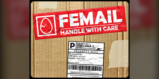 Cover image for Femail
