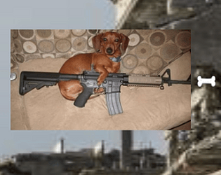 3 - Doggo