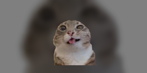 Cover image for Пять ночей в кошачьем кафе