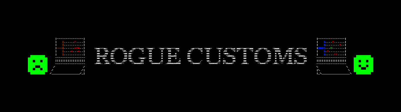 Rogue Customs