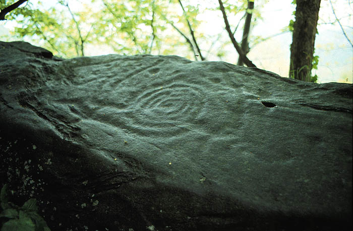 Stone in Italy, little ‘cup’ holes and rings around. Arcà Andrea, CC-BY 3.0