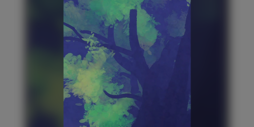 Cover image for fireworks.