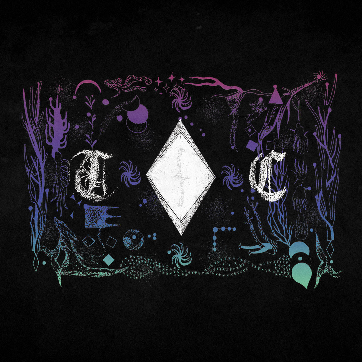 Cover image for Terra Cognita