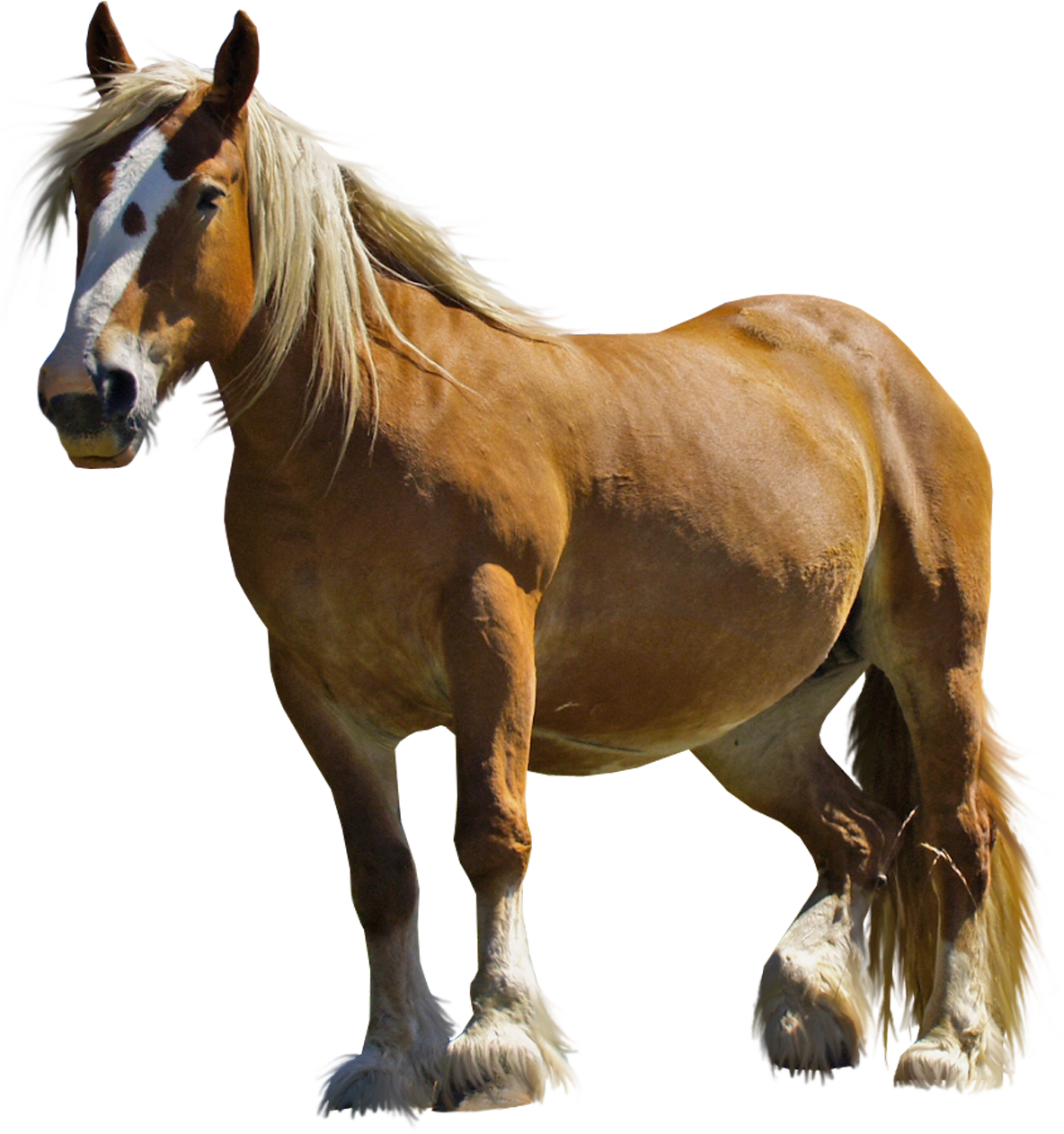 Robot Horse Fart