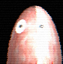 Cover image for Sausage's Interrogation