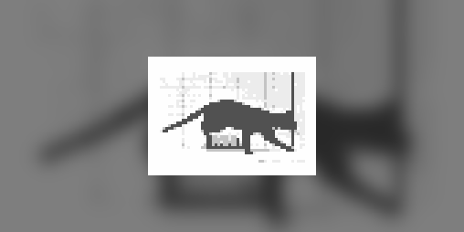 Cover image for cat moment