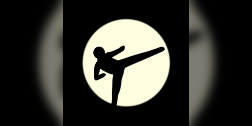 Cover image for Shadowboxer