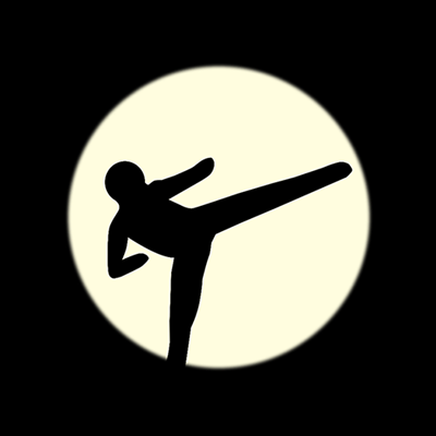 Cover image for Shadowboxer