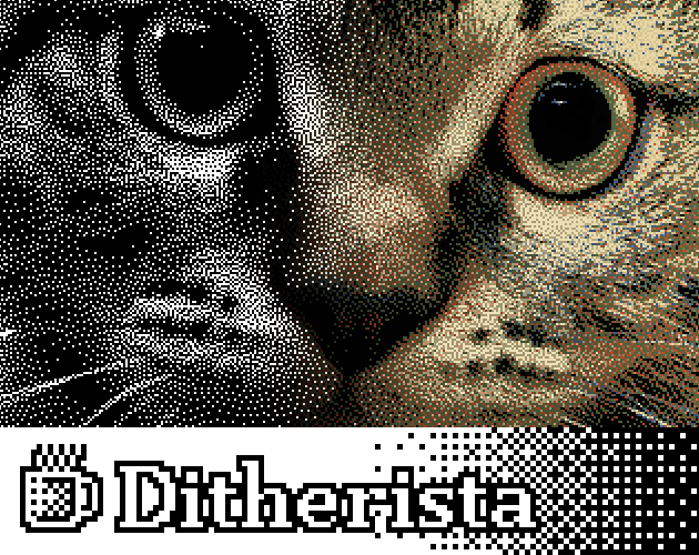 Cover image for Ditherista
