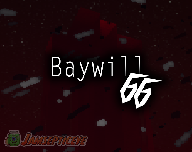 Cover image for Baywill 66