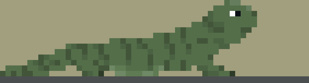 The Lost Lizard