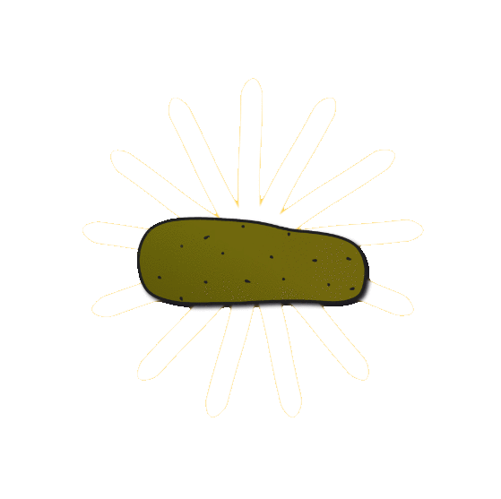 PICKLE