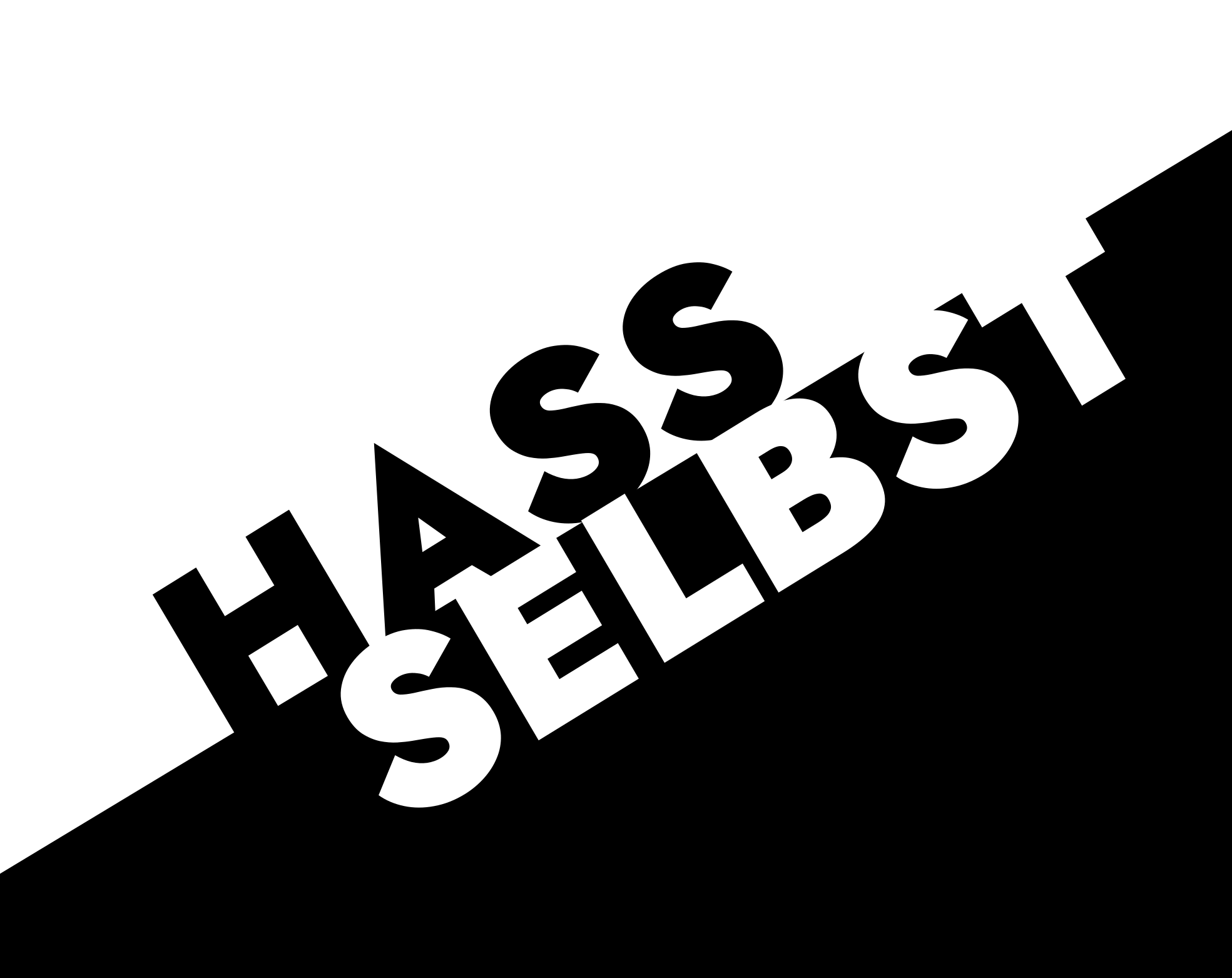 Cover image for Hass/Selbst
