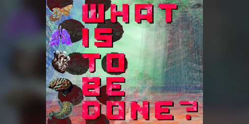 Cover image for What is to be done?